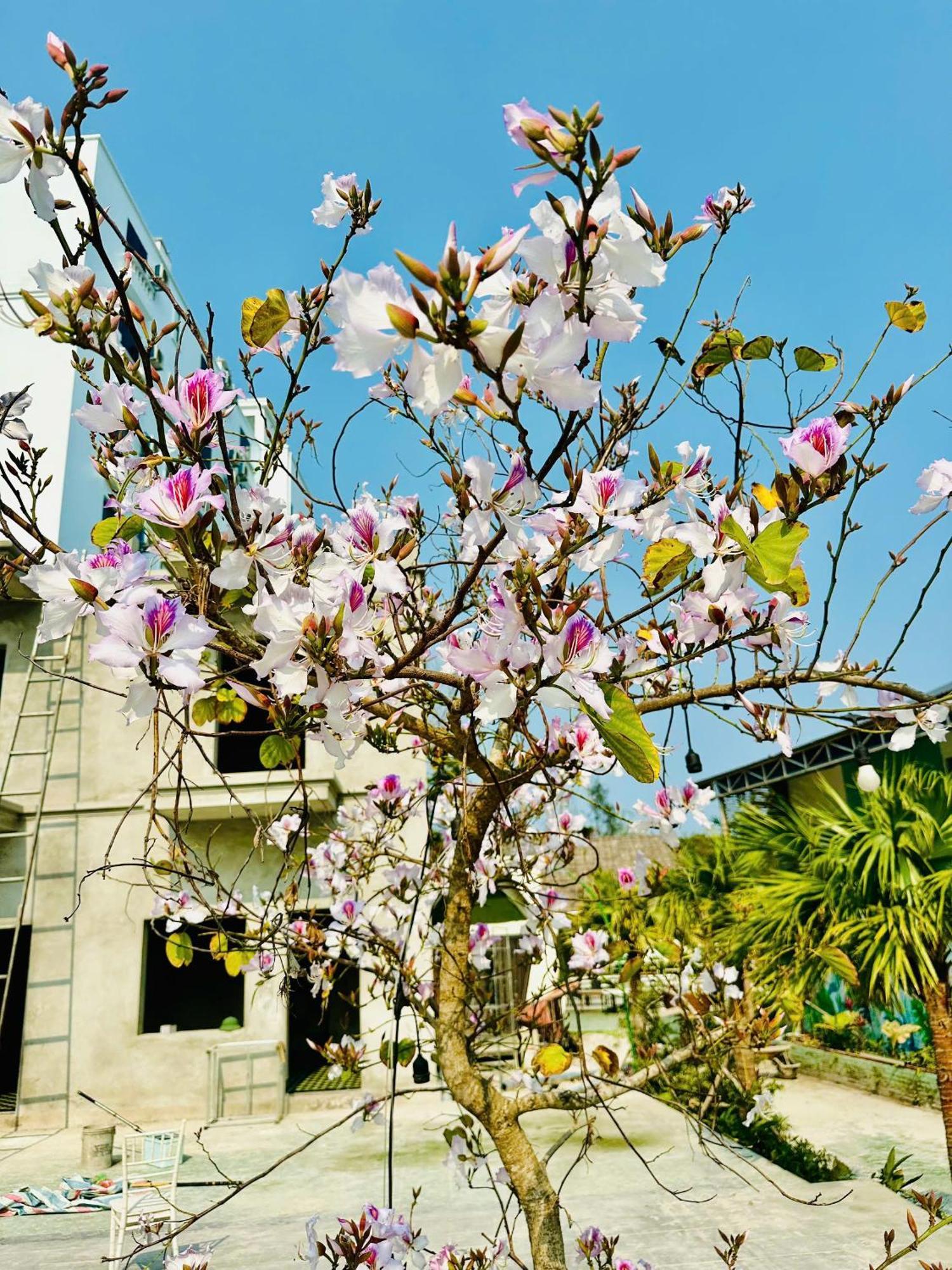Minh Chau Beach Resort Provinz Quang Ninh Exterior foto
